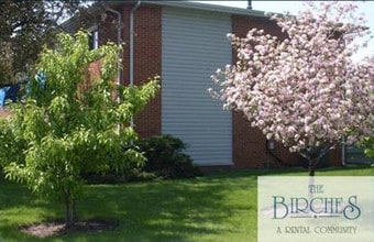 The Birches in Joliet, IL - Building Photo - Building Photo