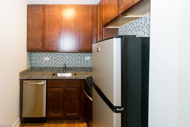 553 W Arlington Pl in Chicago, IL - Building Photo - Building Photo