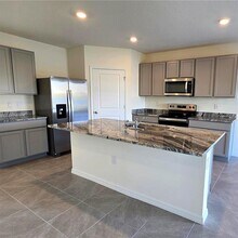 31375 Penny Surf Lp in Wesley Chapel, FL - Building Photo - Building Photo