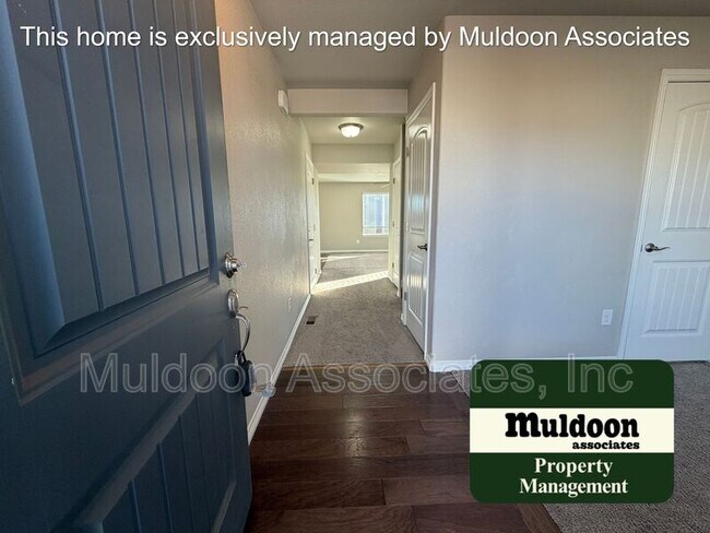 7911 Ainsley Park Pl in Colorado Springs, CO - Building Photo - Building Photo