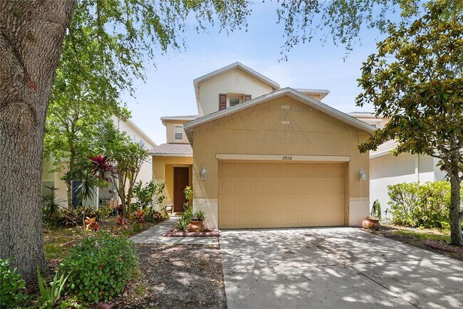 17539 Balmaha Dr in Land O Lakes, FL - Building Photo - Building Photo
