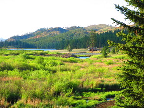 15729 Pine Lake Dr in Sedalia, CO - Building Photo - Building Photo