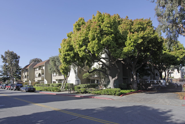 Runnymede Gardens in Palo Alto, CA - Building Photo - Building Photo