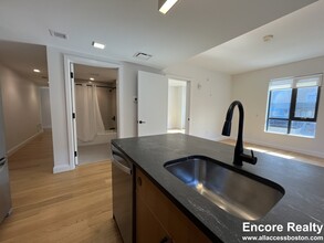 65 Gardner St, Unit 2 BED 2 BATH ALLSTON in Boston, MA - Building Photo - Building Photo