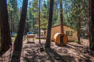 7528 Leaning Cedar Ln in Shingletown, CA - Building Photo - Building Photo