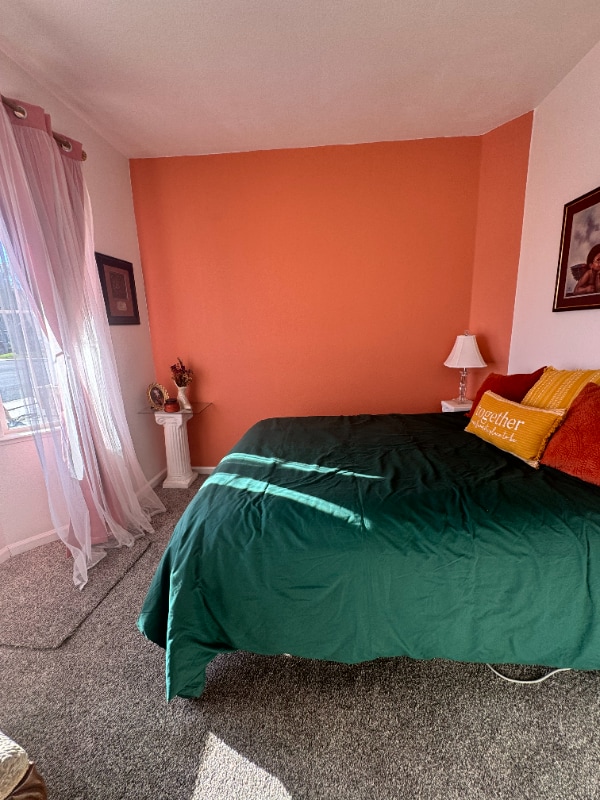 217 Tannehill Dr in Manteca, CA - Building Photo - Building Photo