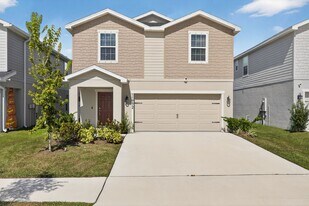 11772 Pink Plumeria Ct in Riverview, FL - Building Photo