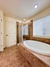 3921 Wild Elm Way in Fort Collins, CO - Building Photo - Building Photo