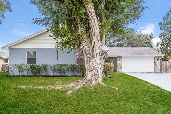 property at 365 Las Palmas St