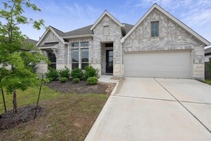 16705 Christina Garza Dr in Manor, TX - Building Photo