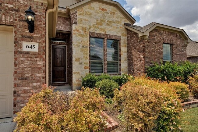 645 Clear Springs Hollow in Buda, TX - Building Photo - Building Photo