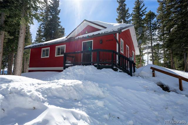 410 Bobcat Ln in Fairplay, CO - Building Photo - Building Photo