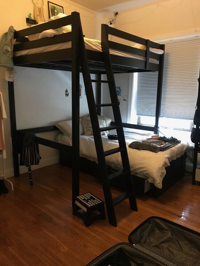 384 Commonwealth Ave, Unit 1 in Boston, MA - Building Photo - Building Photo