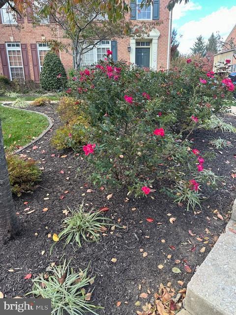 5012 Cameo Terrace in Perry Hall, MD - Building Photo - Building Photo