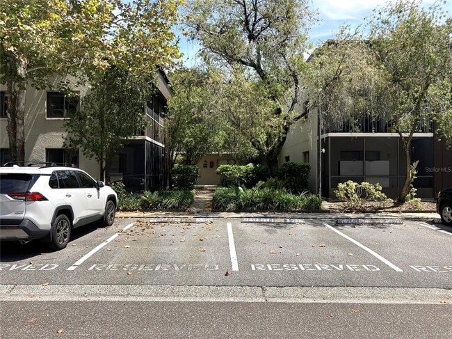 11703 Raintree Village Blvd in Temple Terrace, FL - Building Photo - Building Photo