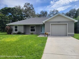1182 Hallcrest Ave in Spring Hill, FL - Building Photo