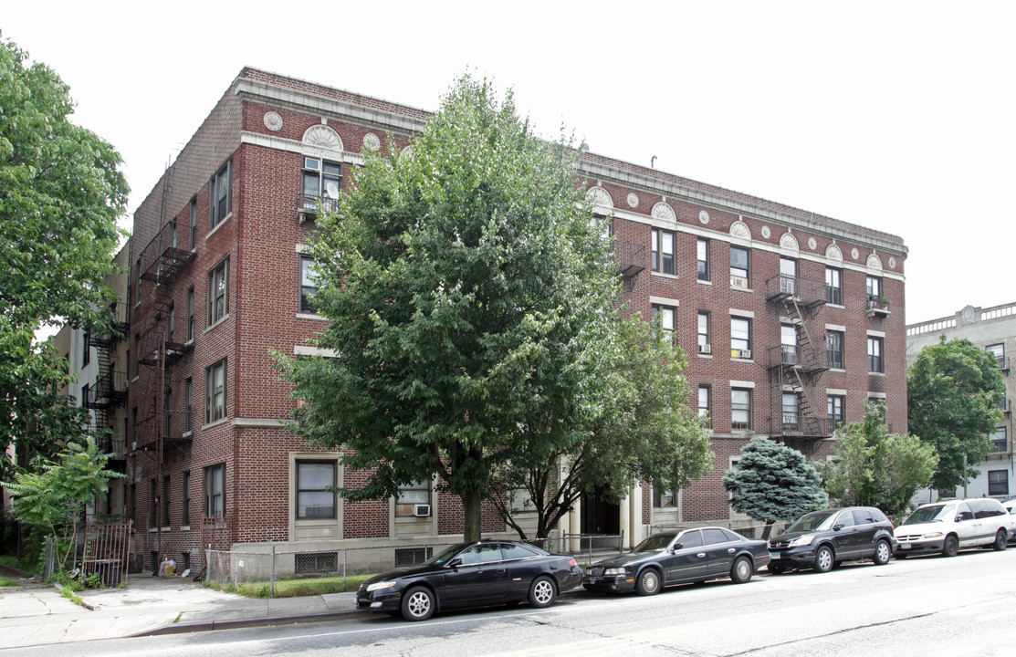 Dora Court in Brooklyn, NY - Building Photo