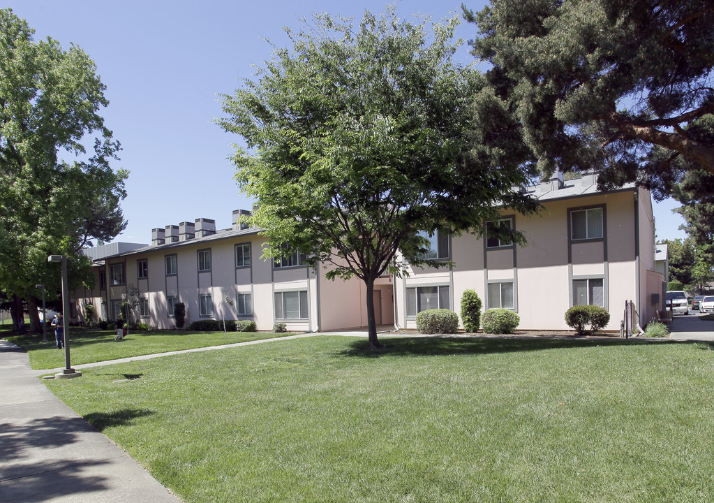 Park Terrace Apartments in Yuba City, CA - Building Photo