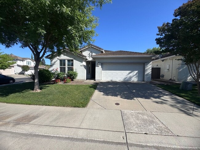 9801 Caygoude Ct in Elk Grove, CA - Building Photo - Building Photo