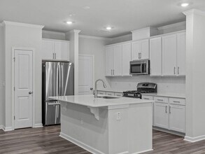 223 Aster Bloom Ln in Raleigh, NC - Building Photo - Building Photo