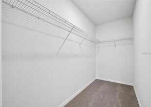 343 Caryota Ct in New Smyrna Beach, FL - Building Photo - Building Photo