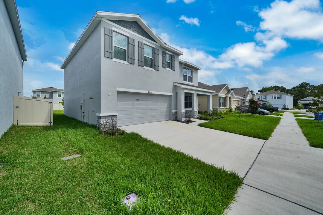 10520 Farm Hill Ave in Land O Lakes, FL - Building Photo