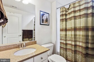 21234 Park Grove Terrace in Ashburn, VA - Building Photo - Building Photo