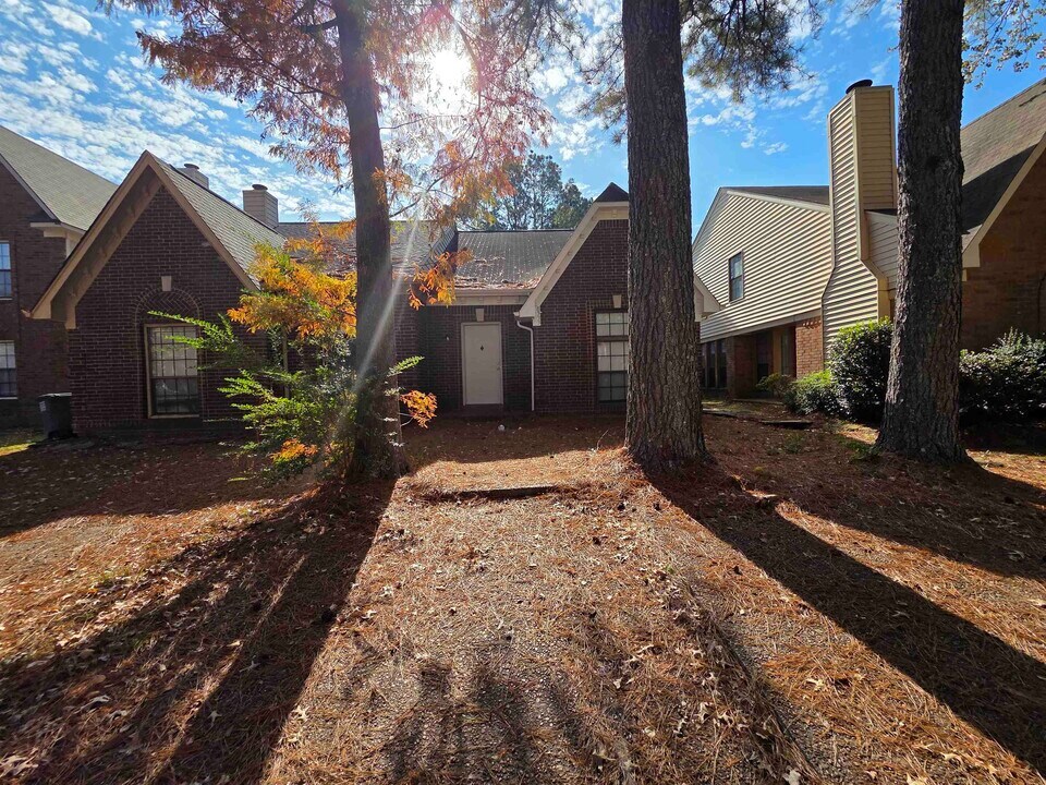 8333 Twin Rivers Dr in Memphis, TN - Building Photo