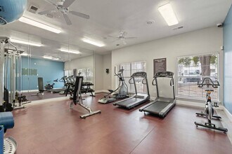 Avonmora Apartments in Austin, TX - Foto de edificio - Building Photo