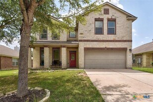 245 Buckingham Dr in Kyle, TX - Building Photo