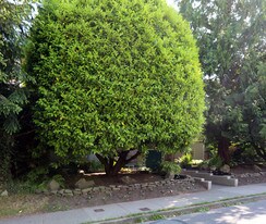 2428 W 2nd Ave in Vancouver, BC - Building Photo