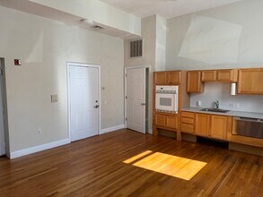 253 Norfolk St in Cambridge, MA - Building Photo - Building Photo