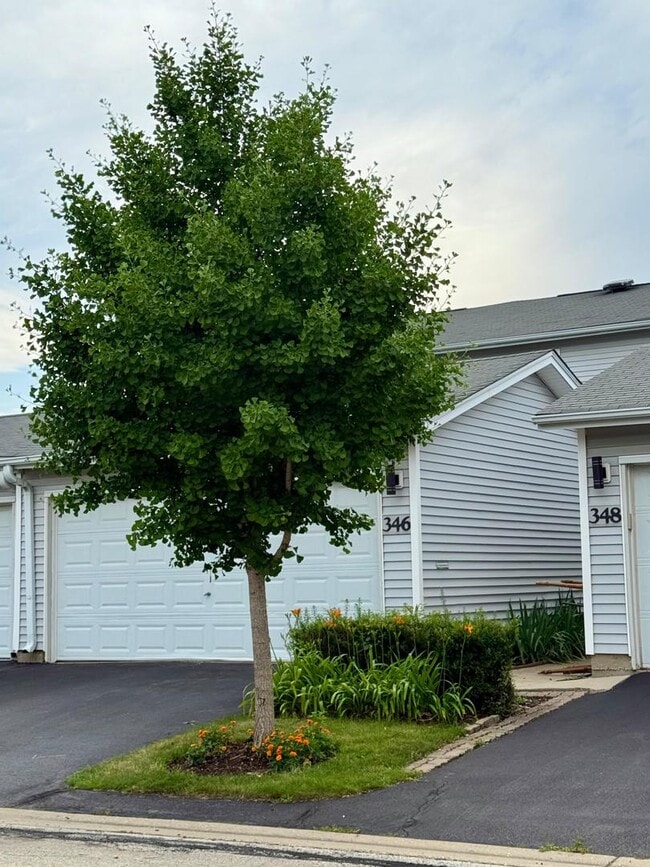 346 Hazelwood Terrace