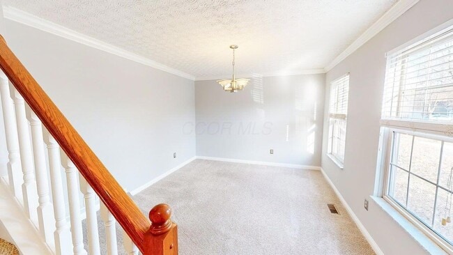 5854 Haddingtonshire Ln in Dublin, OH - Building Photo - Building Photo