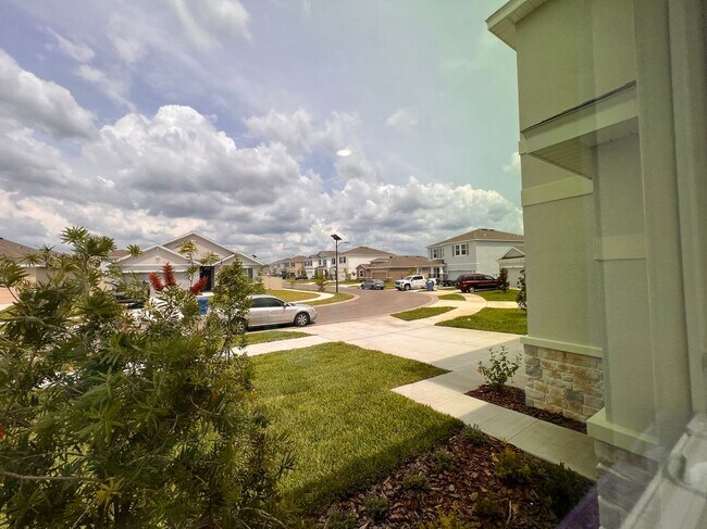 10503 Farm Hl Ave in Land O Lakes, FL - Building Photo - Building Photo