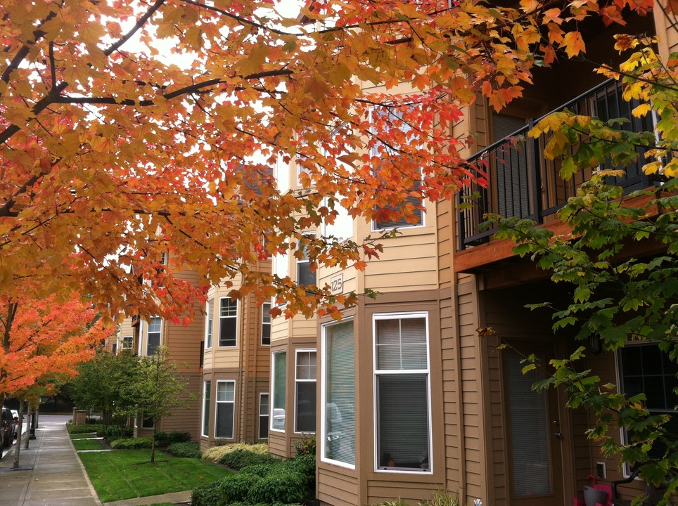 Belmar Commons in Hillsboro, OR - Building Photo