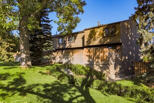 9803 24 St SW in Calgary, AB - Building Photo