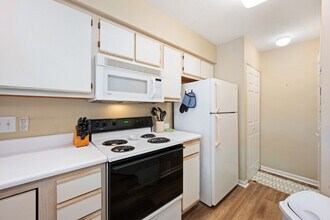 342 Pinehurst Ln in Pawleys Island, SC - Building Photo - Building Photo
