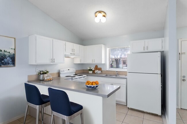372 Cocoa Ct in Kissimmee, FL - Building Photo - Building Photo