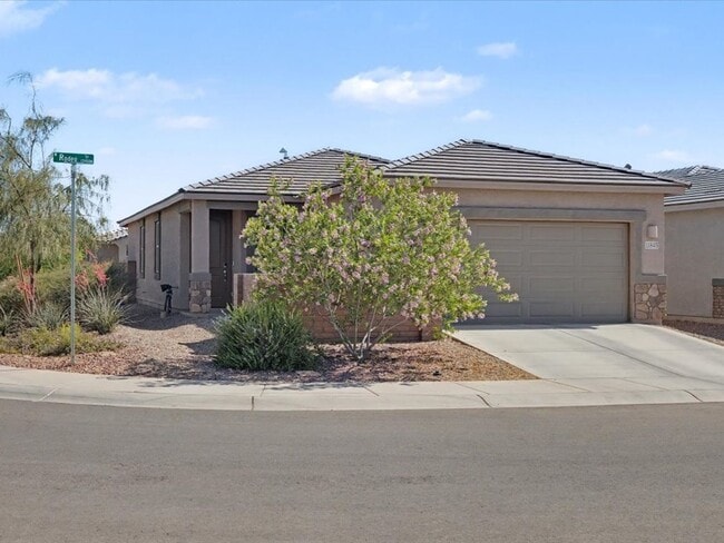 11845 W Rodeo Trl in Marana, AZ - Building Photo - Building Photo
