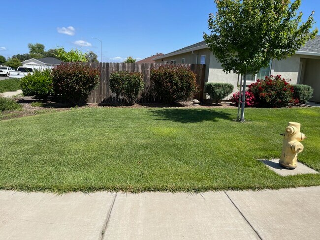 388 N Biggs Dr in Biggs, CA - Building Photo - Building Photo