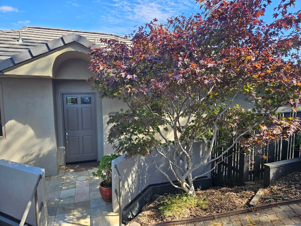 1202 Meadowcrest Dr in Corte Madera, CA - Building Photo