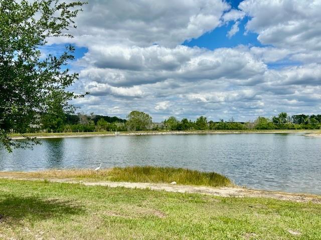 9750 Campanula Ct in Land O Lakes, FL - Building Photo - Building Photo