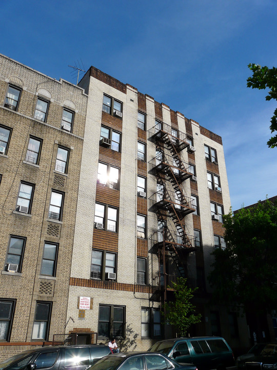 2345 Walton Ave in Bronx, NY - Building Photo