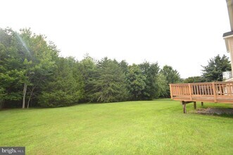 25461 Lemon Tree Pl in South Riding, VA - Building Photo - Building Photo