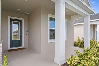 8909 Windlass Cv in Parrish, FL - Building Photo - Building Photo