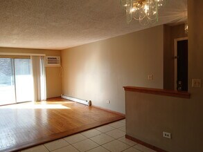 247 N Neltnor Blvd in West Chicago, IL - Building Photo - Building Photo