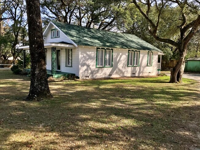 102 Ned Ln in Swansboro, NC - Building Photo - Building Photo