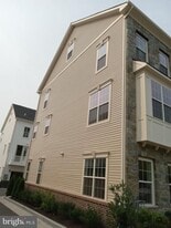 5158 Ridgeview Retreat Dr in Chantilly, VA - Building Photo