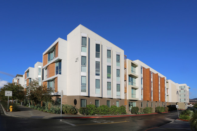 The Quad-Student Housing in San Marcos, CA - Building Photo - Building Photo